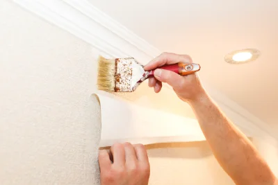 Pose de papier peint à Anthon — revêtements muraux et toiles de verre